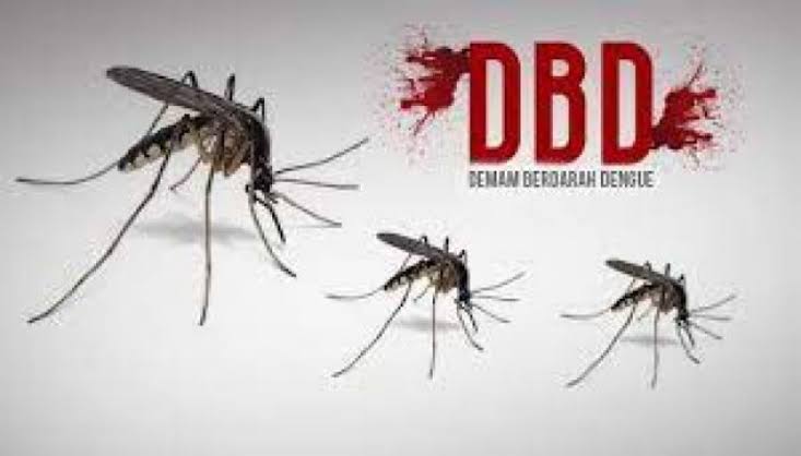ベンカリスのDHF症例は減少し、一般の人々は警戒を続けるように求められました|| riauterkini.com-